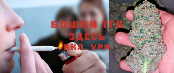 ПСИЛОЦИБИНОВЫЕ ГРИБЫ Баксан