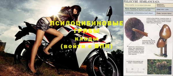 стаф Кодинск