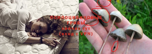 ПСИЛОЦИБИНОВЫЕ ГРИБЫ Баксан