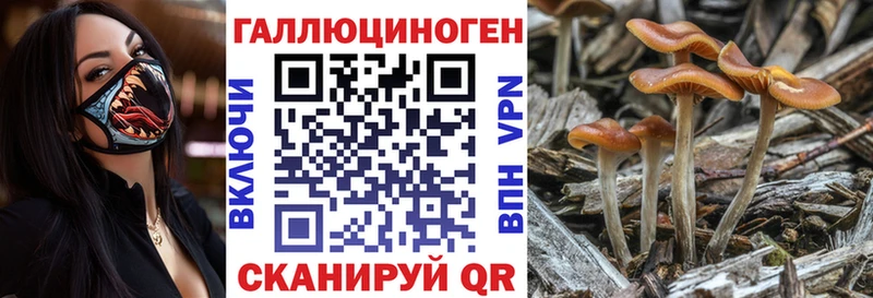 OMG ссылки  цена наркотик  Каспийск  Галлюциногенные грибы Psilocybine cubensis 